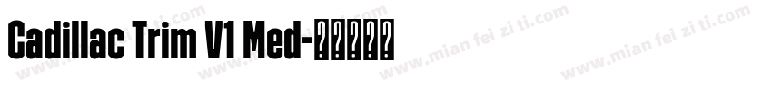Cadillac Trim V1 Med字体转换